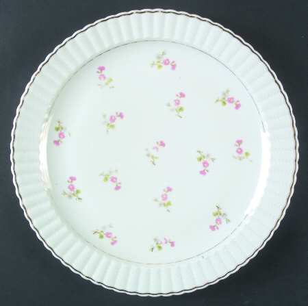 BER47 Dinner Plate