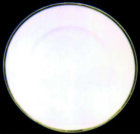 BER66 Dinner Plate