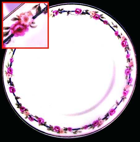 BER73 Dinner Plate