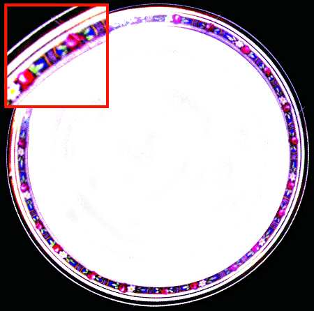 BER77 Bread & Butter Plate