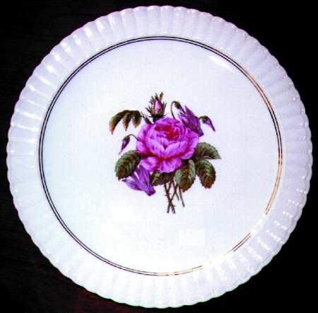 BER92 Dinner Plate
