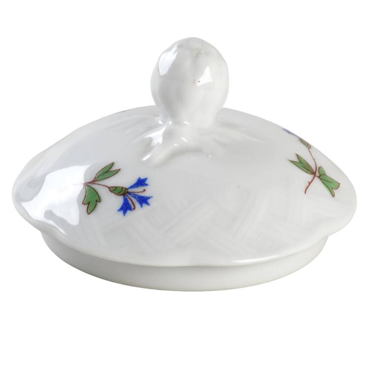 Nicole Lid for Sugar Bowl