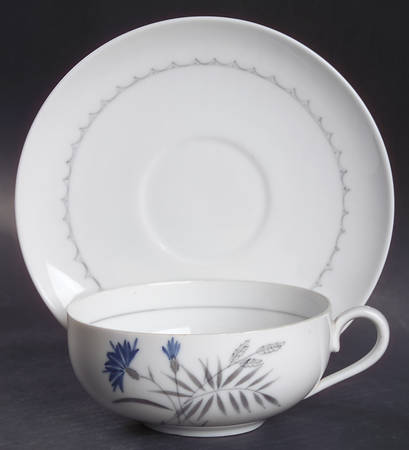 Cornflower Flat Cup & Saucer Set by Bing & Grondahl