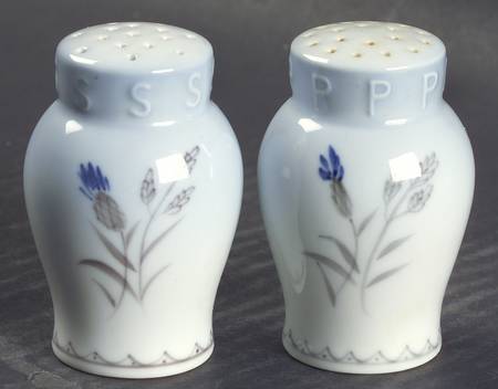 Cornflower Blue Edge Salt & Pepper Set