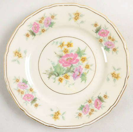 Delmonte Bread & Butter Plate by Black Knight