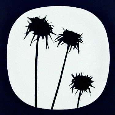 Black & White Dinner Plate