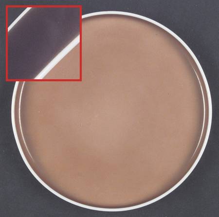 Chromatics Gold Brown Salad Plate