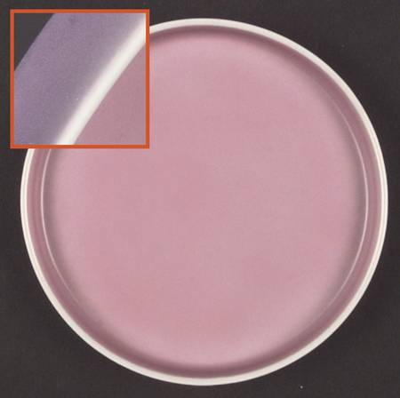 Chromatics Red Lavender Bread & Butter Plate