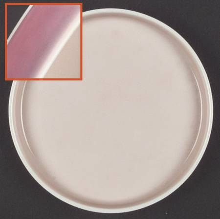 Chromatics Red Lavender Bread & Butter Plate