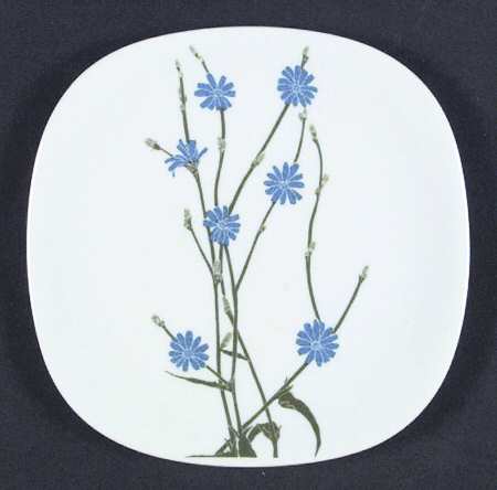 Floral Portraits Bread & Butter Plate
