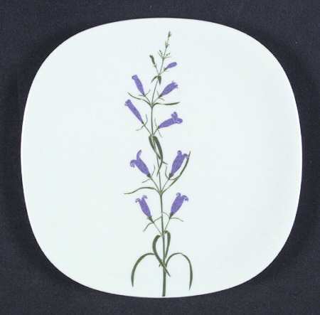 Floral Portraits Bread & Butter Plate