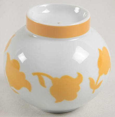Ginger Salt Shaker