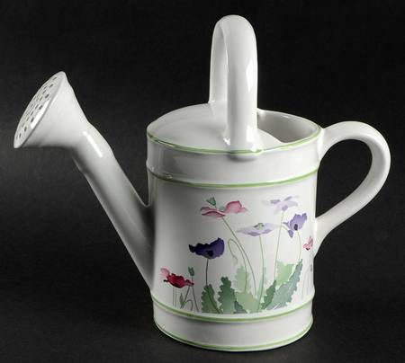Midsummer Water Can