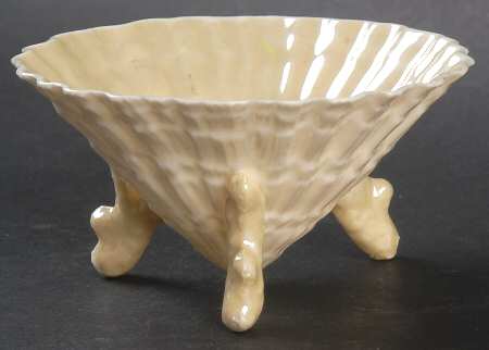 Limpet Yellow Salt Dip