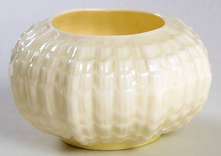 Tridacna White Open Sugar Bowl