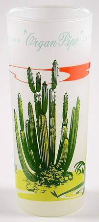 Arizona Cactus 14 Oz Glassware Tumbler