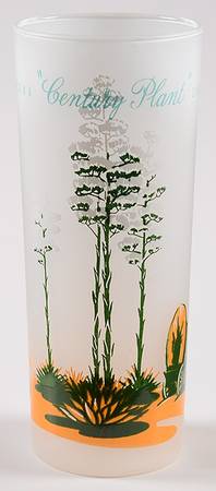 Arizona Cactus 14 Oz Glassware Tumbler