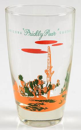 Arizona Cactus 12 Oz Glassware Tumbler