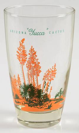 Arizona Cactus 12 Oz Glassware Tumbler