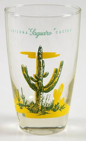 Arizona Cactus 12 Oz Glassware Tumbler