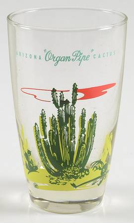 Arizona Cactus 12 Oz Glassware Tumbler