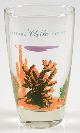 Arizona Cactus 12 Oz Glassware Tumbler