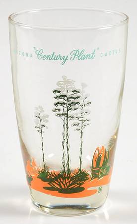 Arizona Cactus 12 Oz Glassware Tumbler