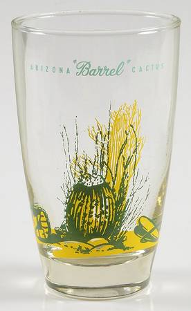 Arizona Cactus 12 Oz Glassware Tumbler