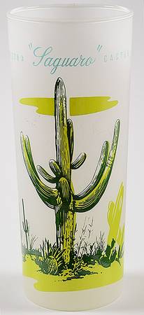 Arizona Cactus 14 Oz Glassware Tumbler