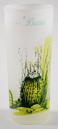 Arizona Cactus 14 Oz Glassware Tumbler