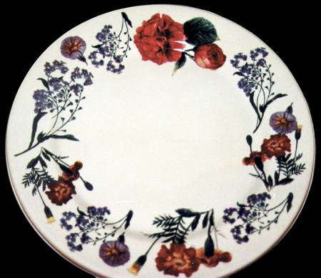 BNA1 Dinner Plate