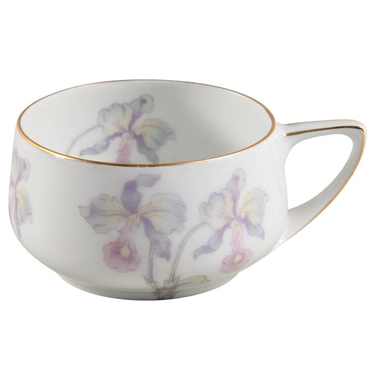 Orchid Iris Flat Cup