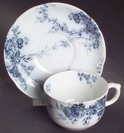 Princess (Blue Flowers To Edge) Flat Cup & Saucer Set