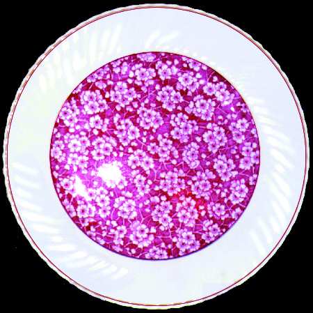 May Blossom Pink Dinner Plate