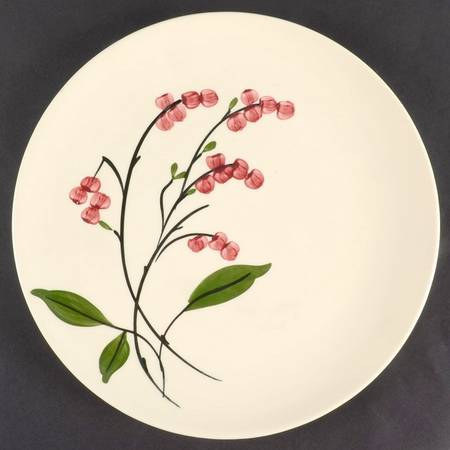 Bittersweet Luncheon Plate