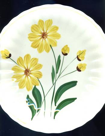 Coreopsis Dinner Plate