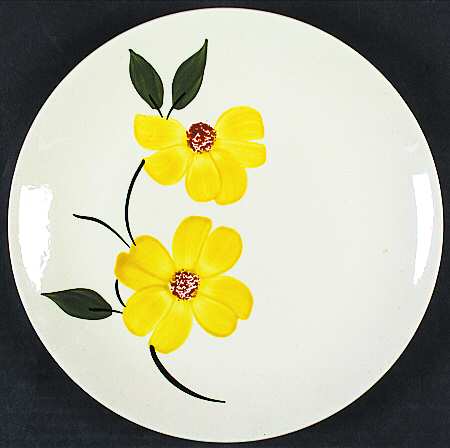 Cosmos by Blue Ridge Southern Pottery