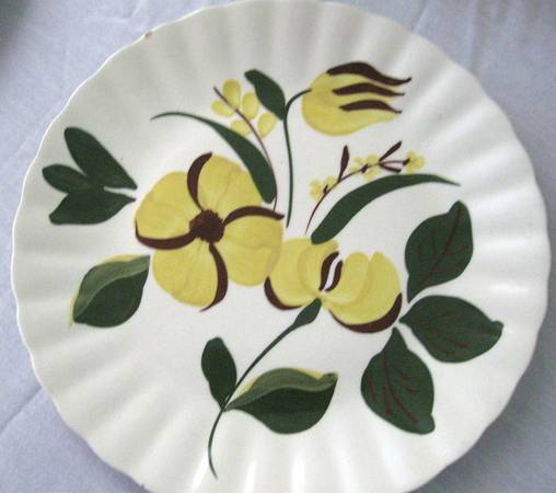Lighthearted Dinner Plate