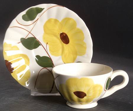 Ridge Daisy Footed Cup & Saucer Set by Blue Ridge Southern Pottery