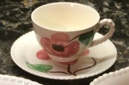 Twin Flowers Footed Cup & Saucer Set