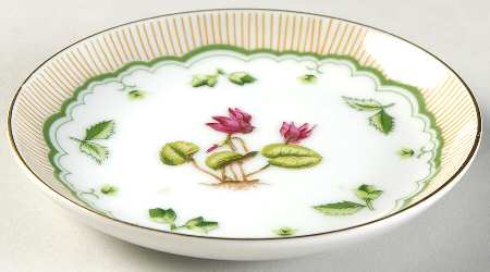Victorian Gardens Coaster