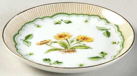 Victorian Gardens Coaster