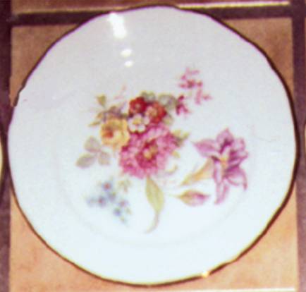 BTH33 Dinner Plate