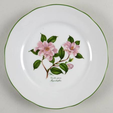 BTH50 Salad Plate