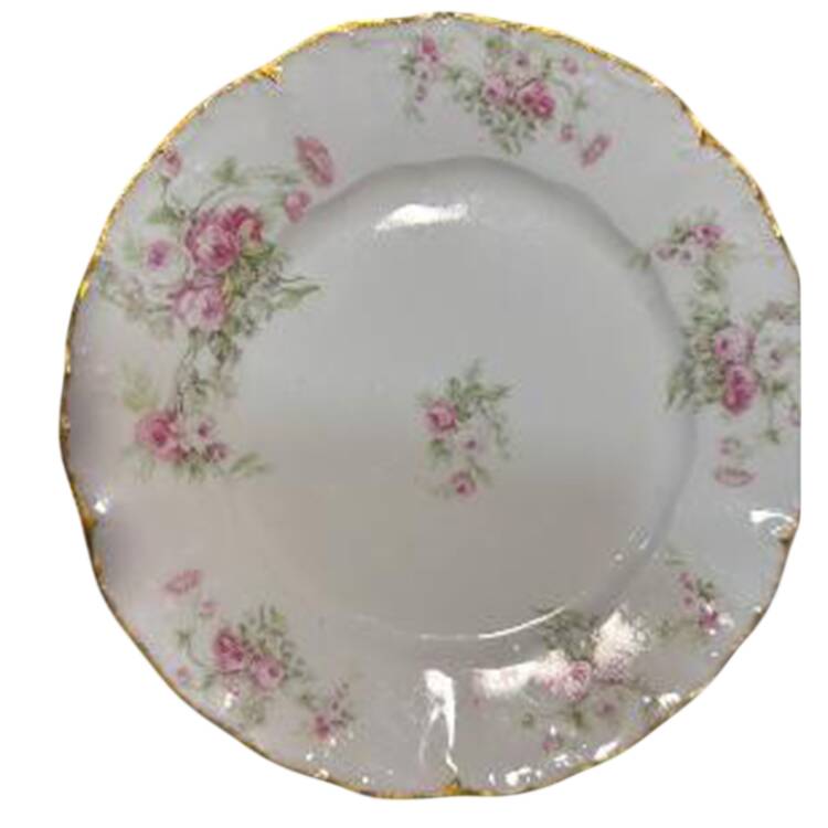 BWD43 Dinner Plate