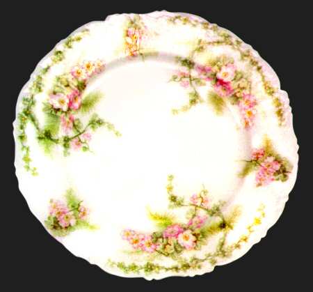 BWD99 Dinner Plate