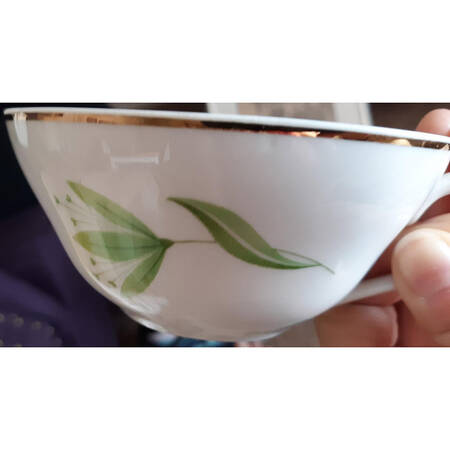 BOH67 Flat Cup