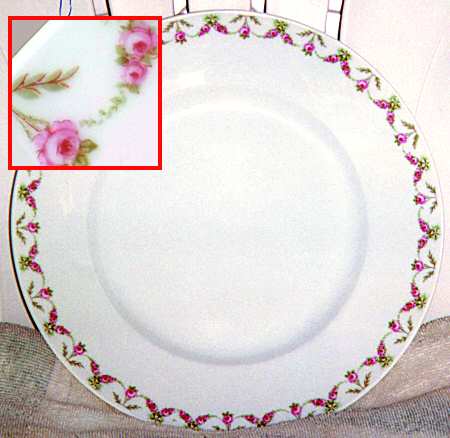 BER150 Dinner Plate