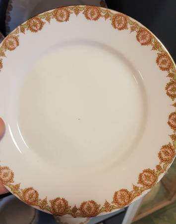 BWD172 Dinner Plate