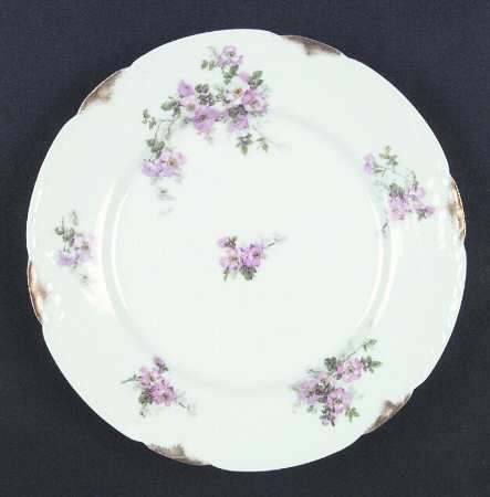 BOG24 Salad Plate